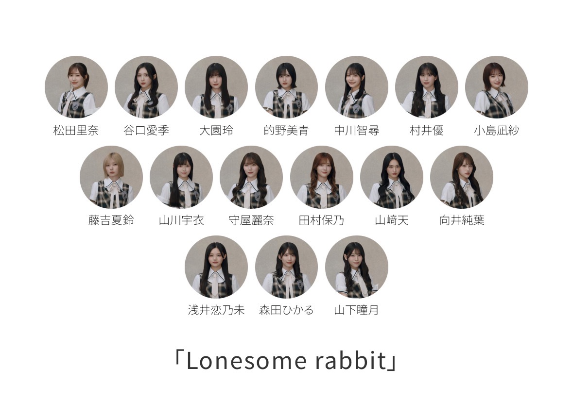 15th『Lonesome rabbit』公式フォーメーション。前から3・6・7人。